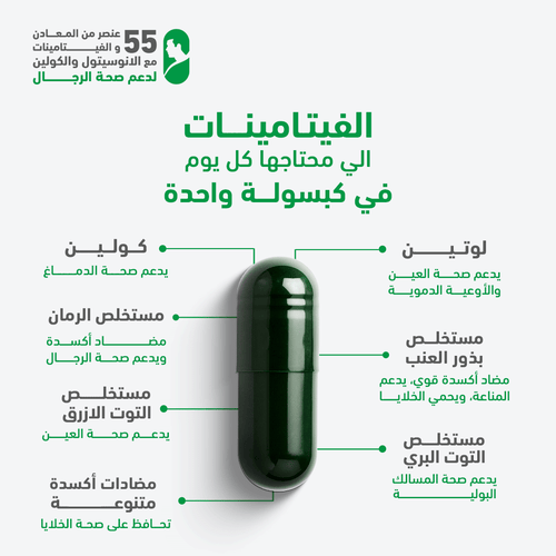 هوليستا فيتامينات متعددة للرجال 60 كبسولة
