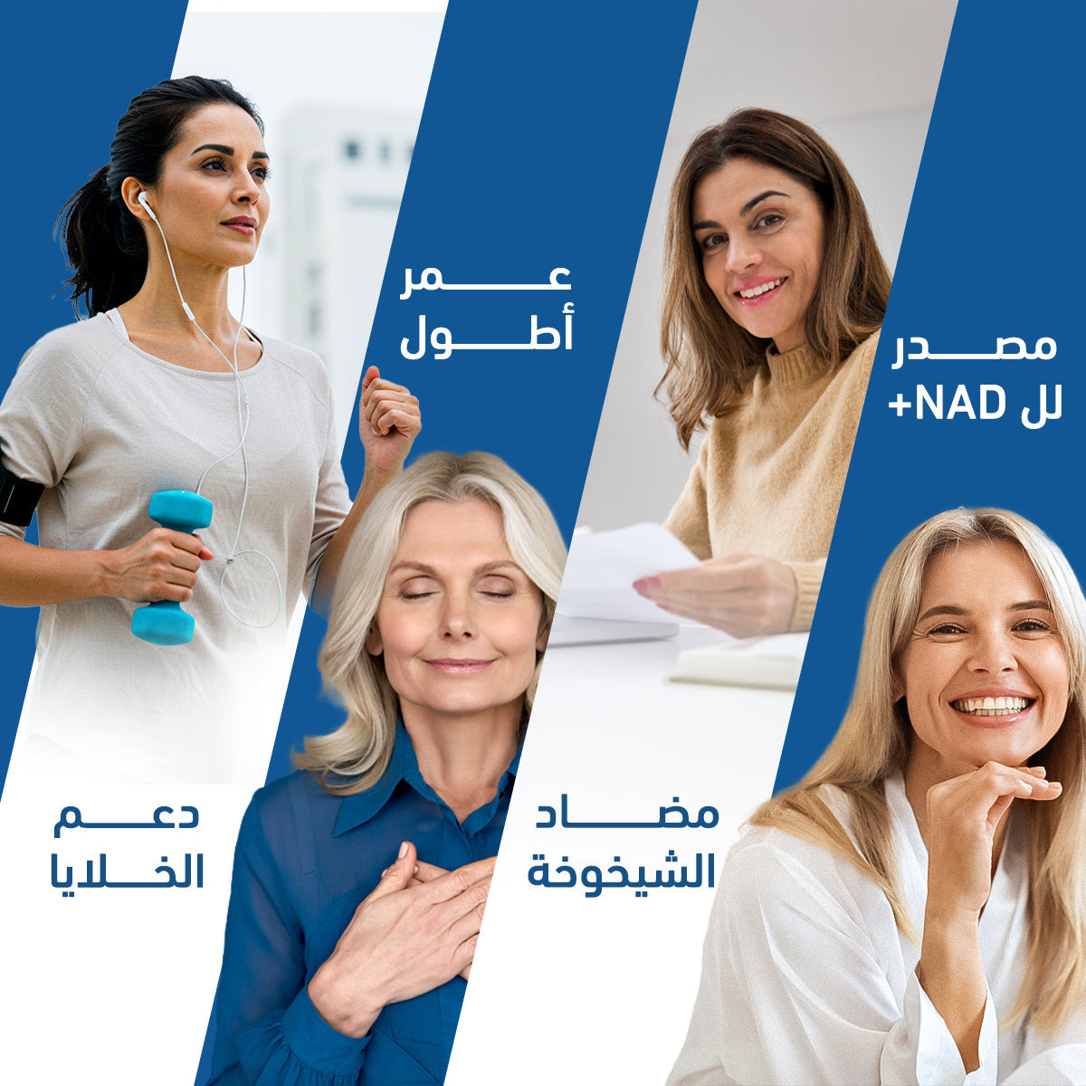 هوليستا ان ام ان 150 مج 90 كبسولة هلامية