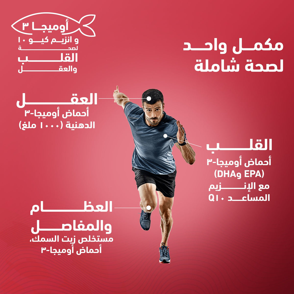 سينسيلاب أوميغا 3 + كيو 10 30 كبسولة هلامية