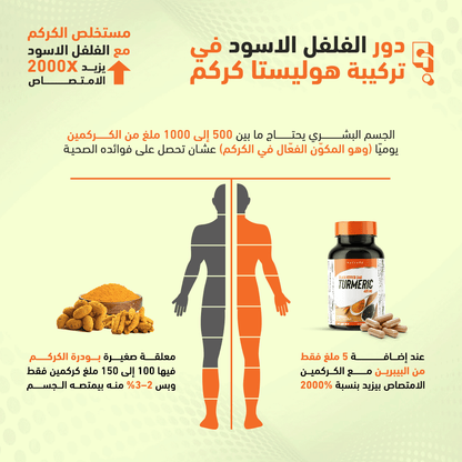 هوليستا كركم 400 مجم 60 كبسولة