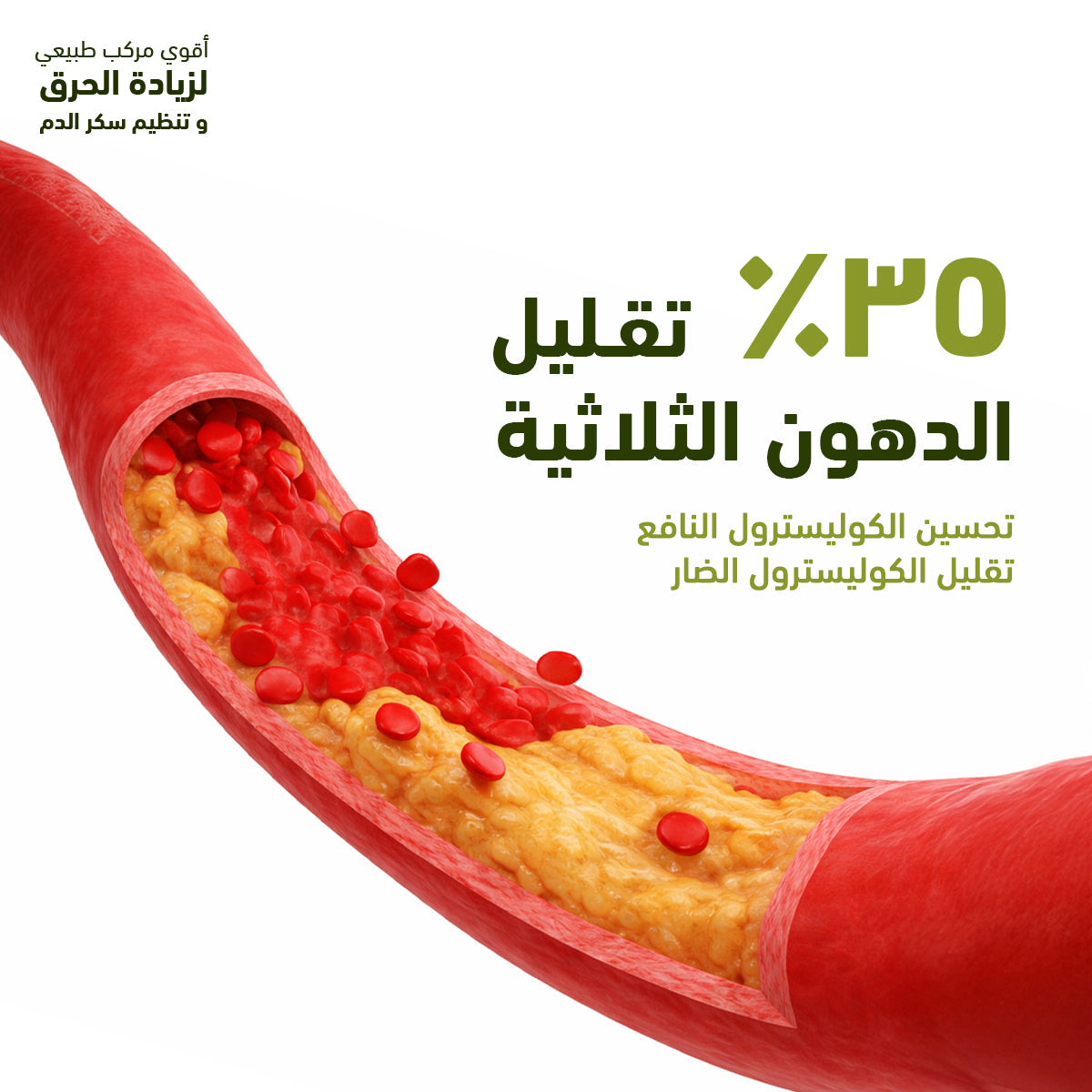 سينسلاب بربرين 500 ملجم 30 كبسولة