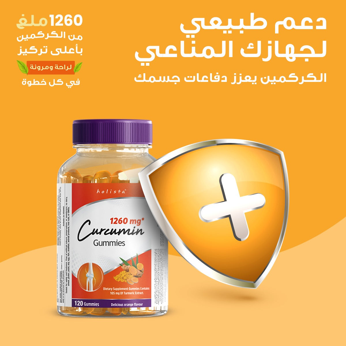 هوليستا | كوركومين 1260 مغ كركم 120 جاميز