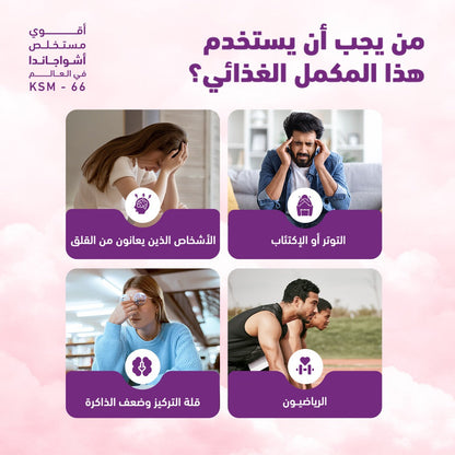 هوليستا أشواغاندا عضوية 600 ملغ 60 كبسولة