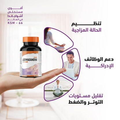هوليستا أشواغاندا عضوية 600 ملغ 60 كبسولة