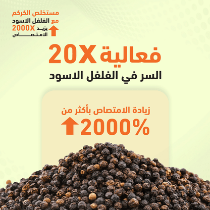 هوليستا كركم 400 مجم 60 كبسولة